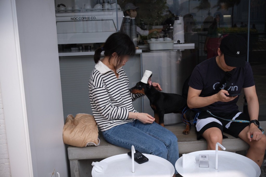 巿民刘先生发现一对男女携同一头类似受虐三个月大洛威拿狗女朵朵，本月18日出现于黄埔花园一间咖啡店。(香港动物报图片)