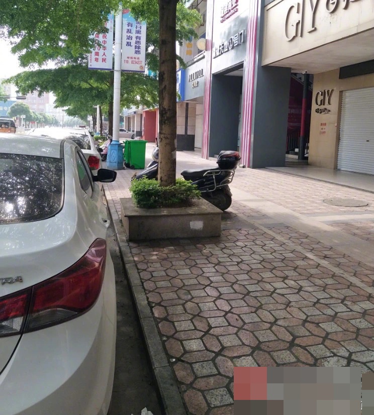 網圖
