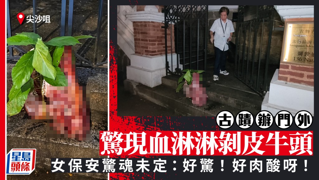 尖沙咀古蹟辦驚現血淋淋剝皮牛頭 口插枝葉 女保安嚇破膽：好肉酸呀！