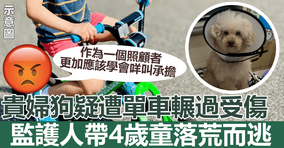 網圖(示意圖);細圖為FB圖片