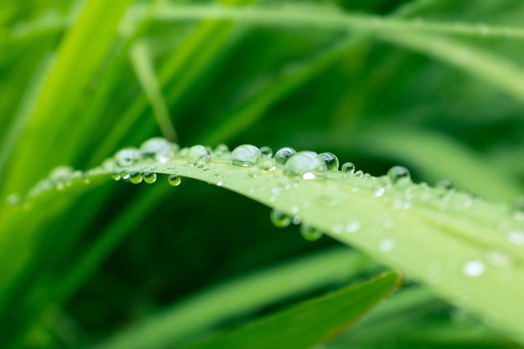 Kahika / Unsplash 圖片