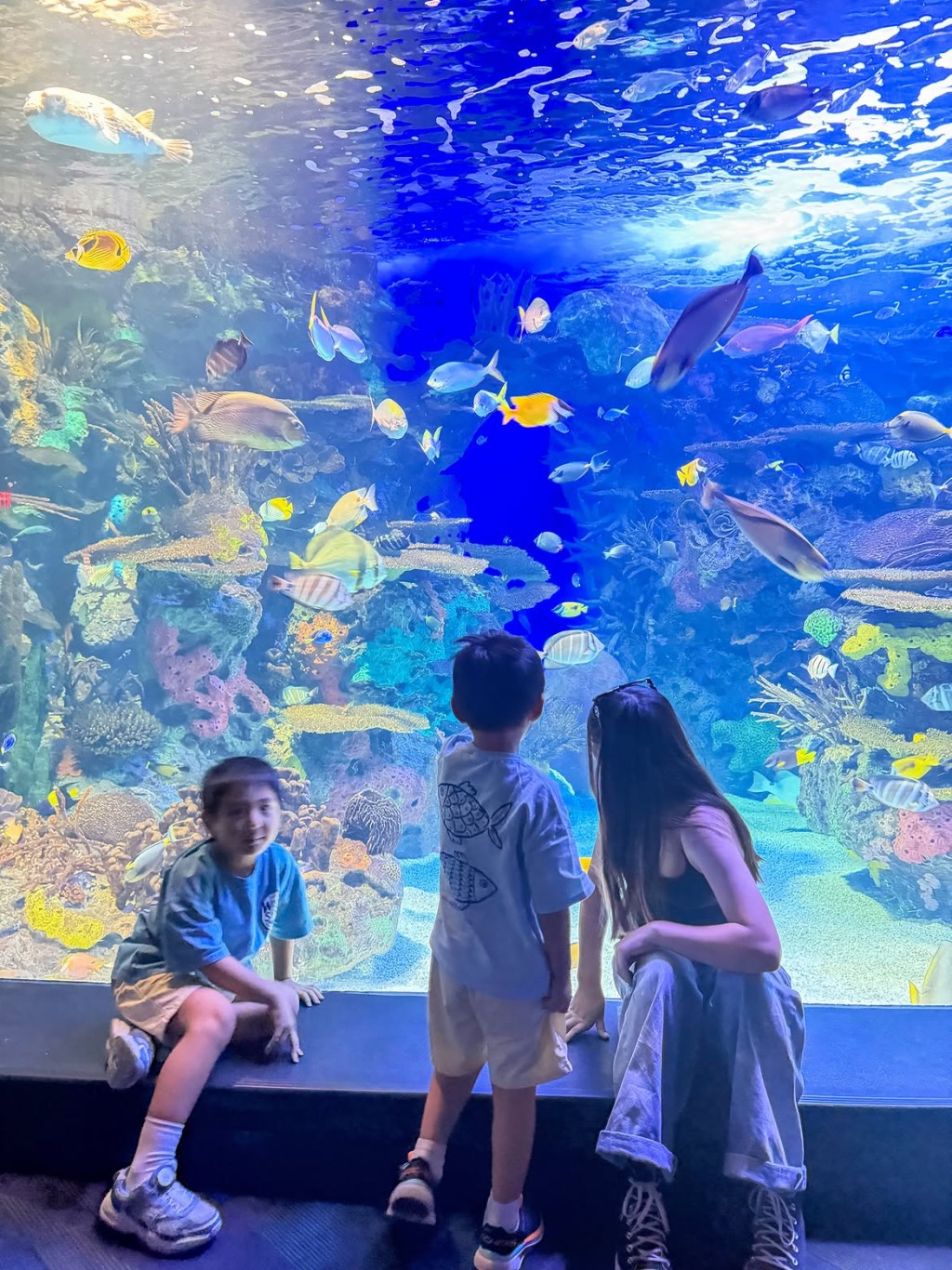 倪晨曦帶囝囝去水族館。