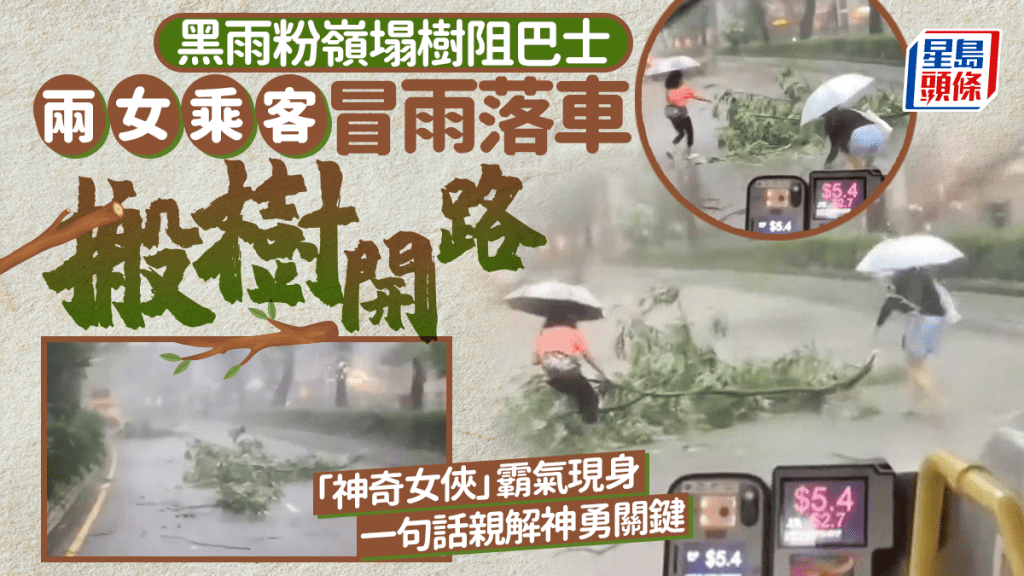 黑雨粉嶺塌樹阻巴士 兩女乘客冒雨落車搬樹開路 「神奇女俠」霸氣現身 一句話親解神勇關鍵｜Juicy叮