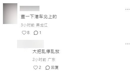 網民建議「查一下港車北上的，大把亂停亂放」。小紅書擷圖