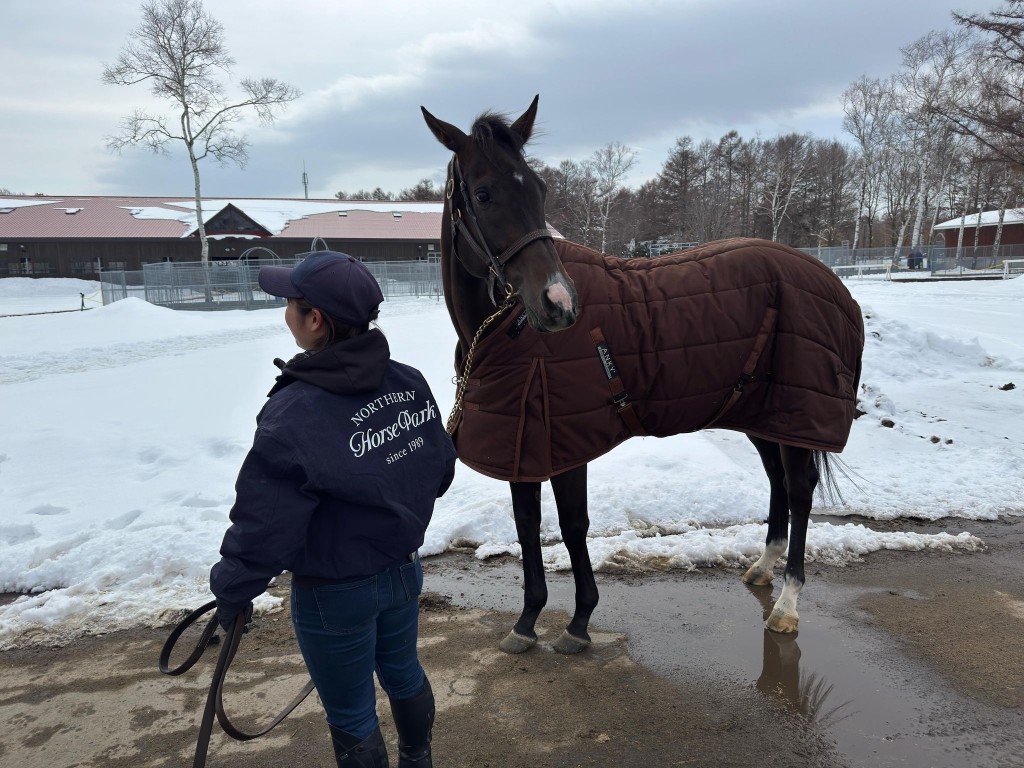 前三屆香港馬王「金鎗六十」目前在日本北海道著名的北方牧場頤養天年。