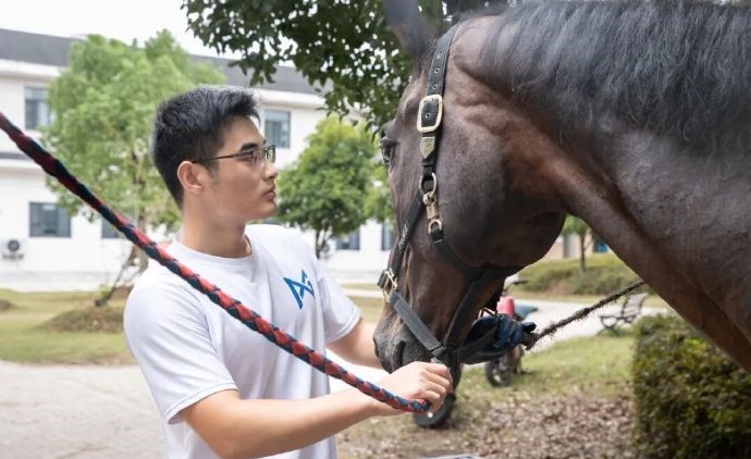 付華東成功考取中國馬術協會頒發的「釘蹄師證」。極目新聞 付華東成功考取中國馬術協會頒發的「釘蹄師證」。極目新聞