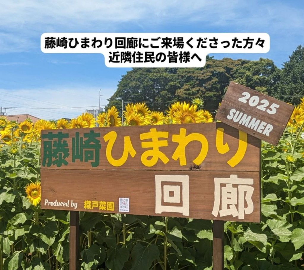 「向日葵走廊」每年吸引大量遊客到訪。IG@orido.farmony