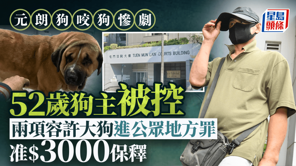 涉案混種西班牙藏獒「拉里」主人伍瑞庭被控2罪提堂。