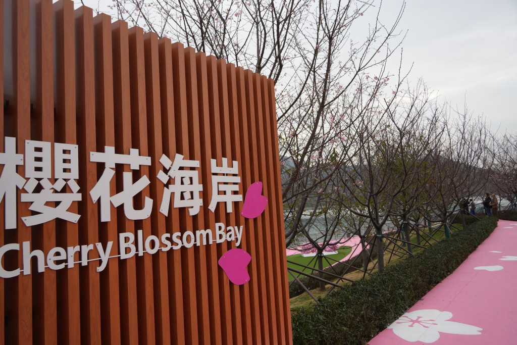 東涌赤鱲角機場櫻花園栽種160棵櫻花樹。