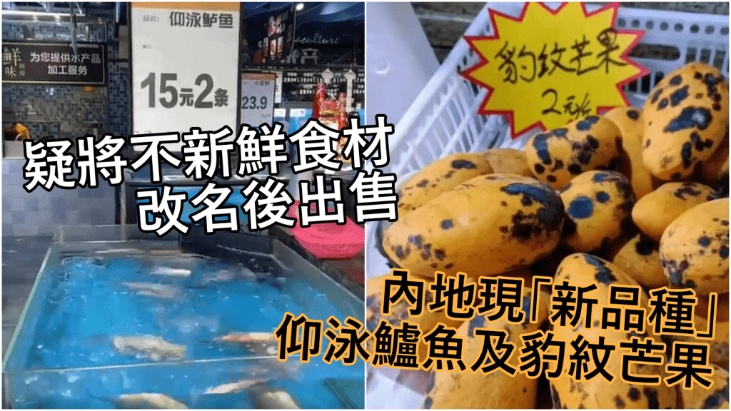 內地市場近日出現「新品種」仰泳鱸魚及豹紋芒果。網圖