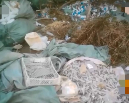 內地有人從醫院收取醫療垃圾造再生物料，恐怕對人體有害。  影片截圖
