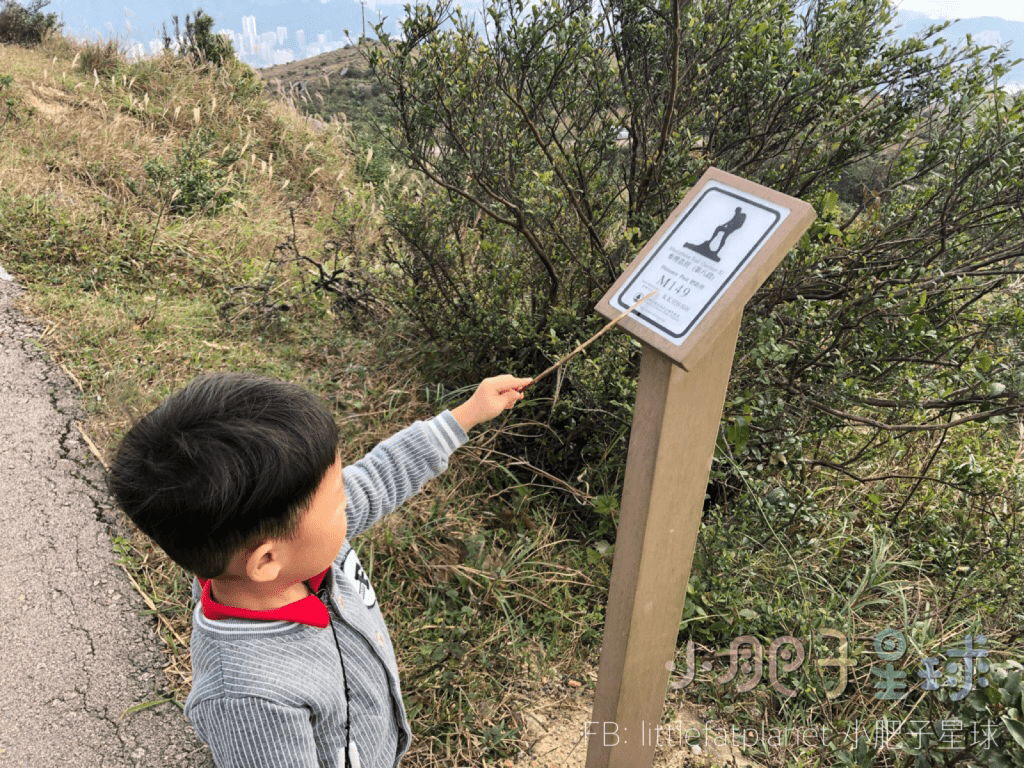郊野公園的標距柱會顯示座標,小朋友感到很新奇。 郊野公園的標距柱會顯示座標,小朋友感到很新奇。