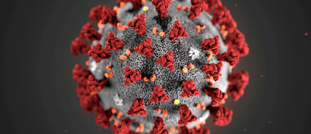 石正麗警告未來極有可能出現另一種冠狀病毒，全球必須針對新一波疫情做好準備。路透社