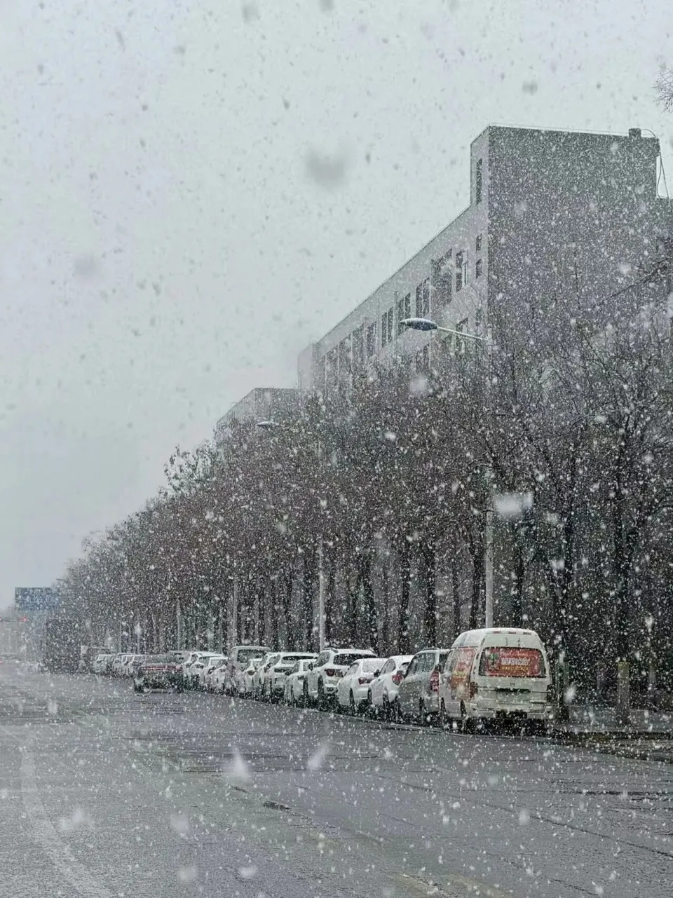 西安突降大雪,24小時內溫差20度,一天穿越冬夏兩季。 微博 西安突降大雪,24小時內溫差20度,一天穿越冬夏兩季。 微博