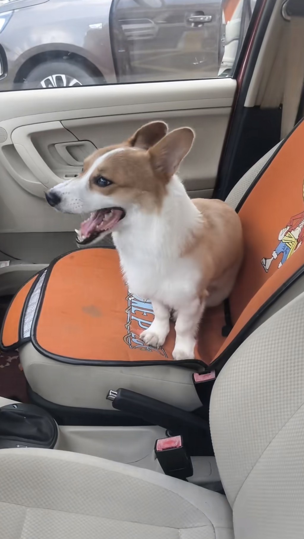 哥基犬誤觸鎖車鍵，將車主一行人困在車外。抖音@Nemo