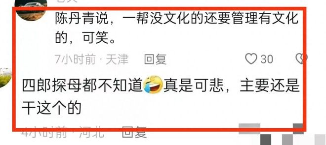 劉桂珍全程低頭照稿讀仍鬧出「四母探郎」的笑話，成為網民嘲笑與質疑的對象。微博