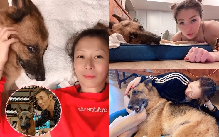 鄭秀文覺得LUCKY嘅每一日都係賺返嚟。
