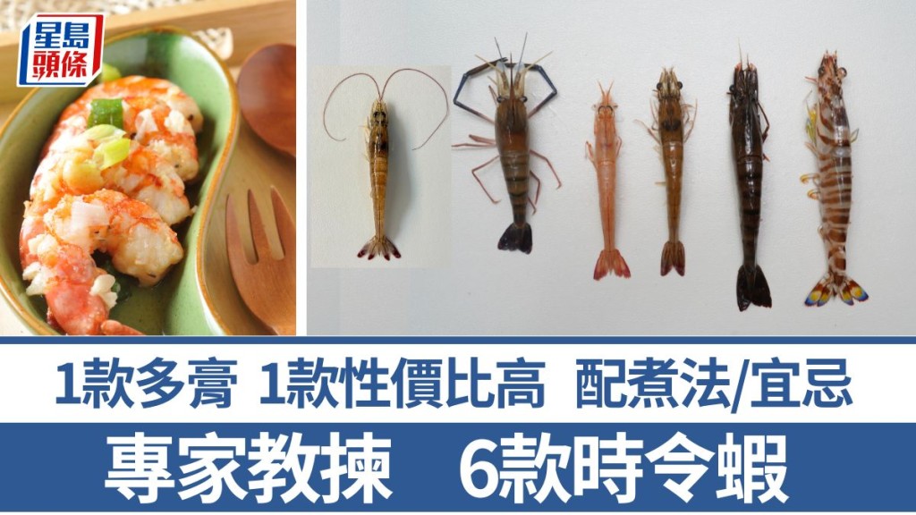 教揀鮮蝦 6款當造蝦特點/煮法/食用宜忌 1款膏多 1款性價比高 花竹蝦/九節蝦/草蝦/本灣海中蝦/大頭蝦/基圍蝦｜食材知識