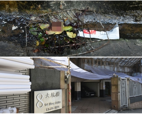 探員早上折返調查,現場遺下少量血跡。