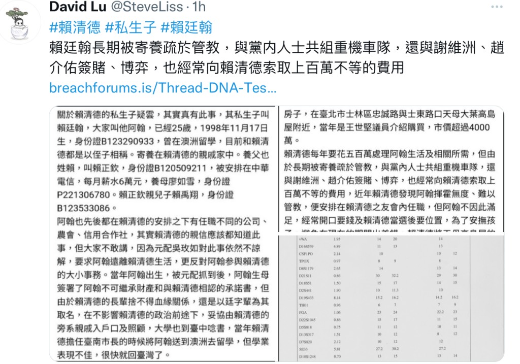 網民David Lu貼出賴清德有私生子的帖文。(平台X)