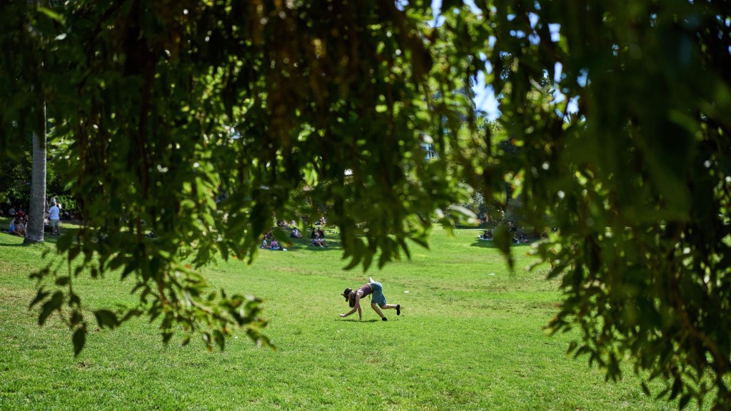阿根廷“兽人”在布宜诺斯艾利斯一个广场享受周日下午。 美联社