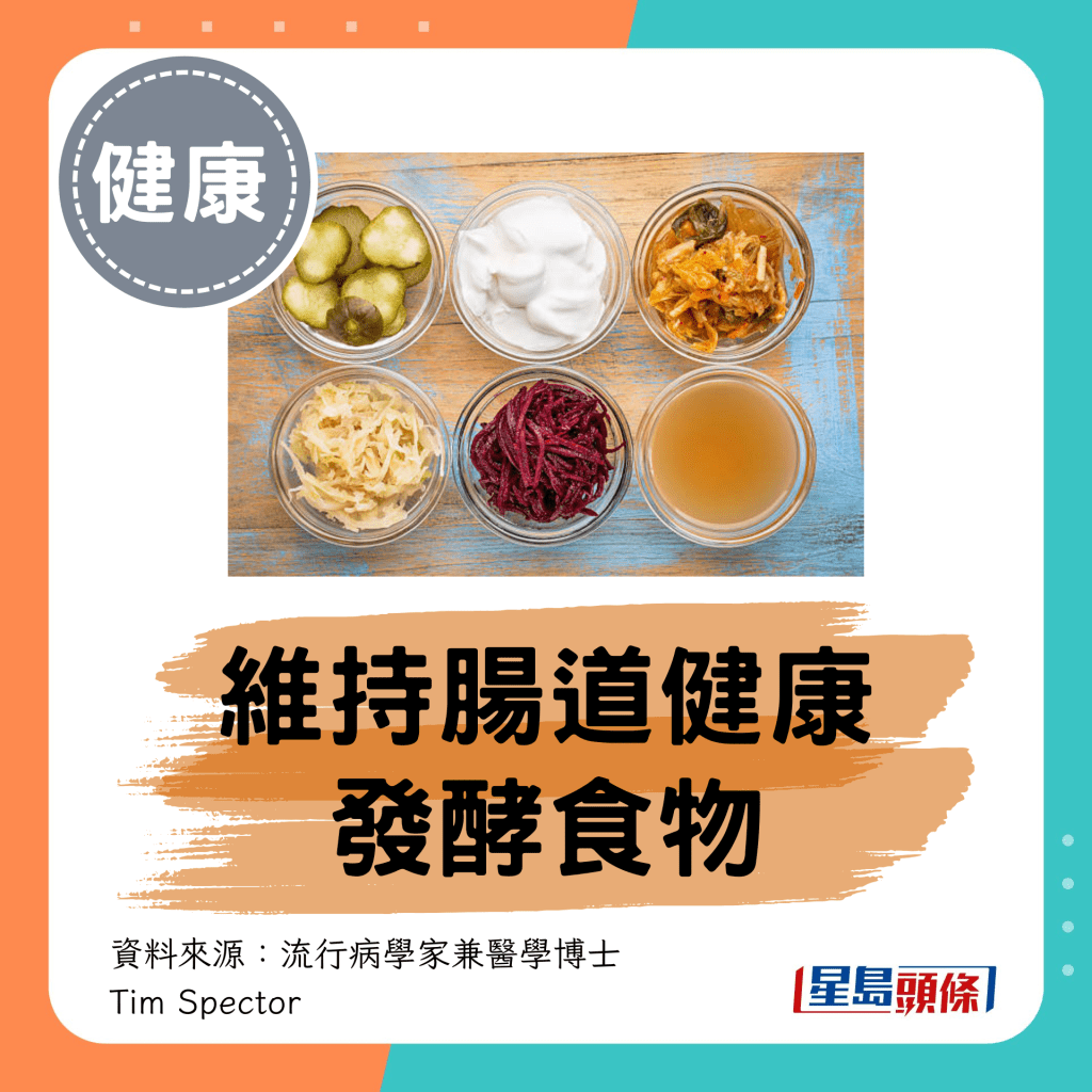 维持肠道健康发酵食物