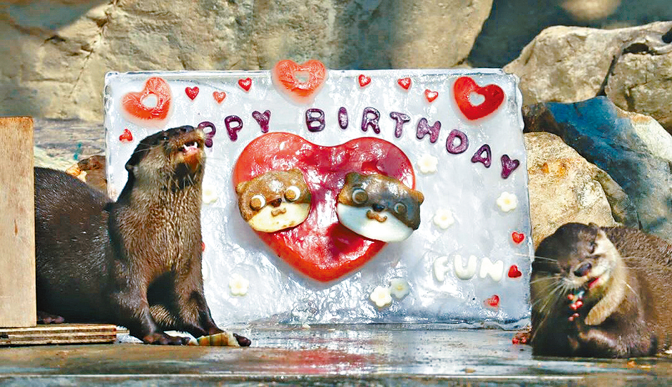 壽星們真係好可愛。