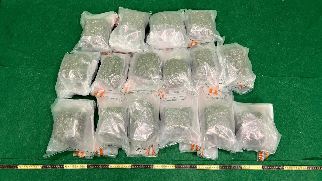 第一宗案件中檢獲的懷疑大麻花。政府新聞處圖片 第一宗案件中檢獲的懷疑大麻花。政府新聞處圖片