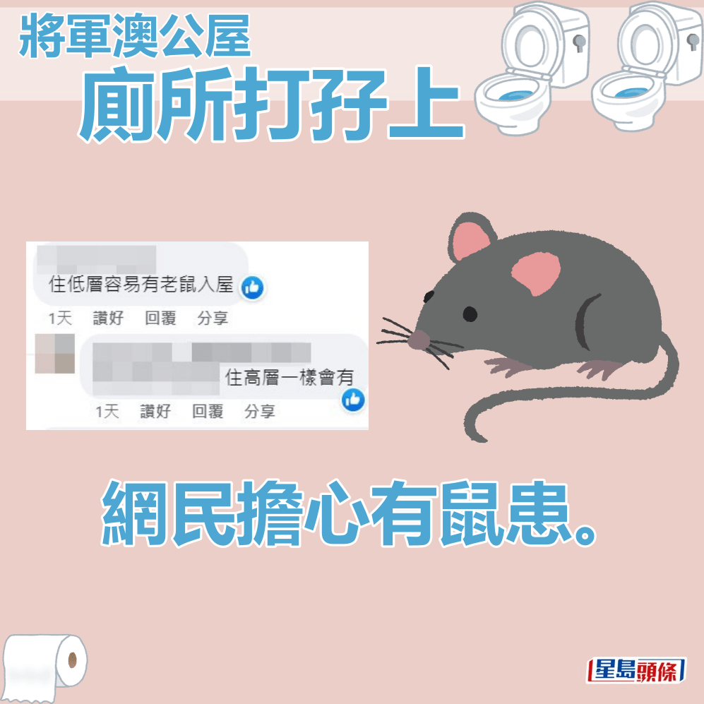 網民擔心有鼠患。fb「公屋討論區 - 香港facebook群組」截圖