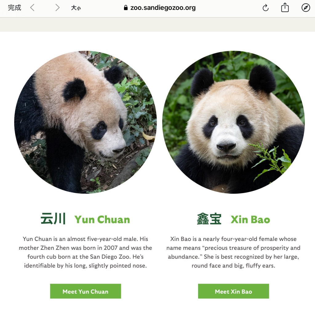 動物園網站已增設介紹大熊貓的頁面。 San Diego Zoo 