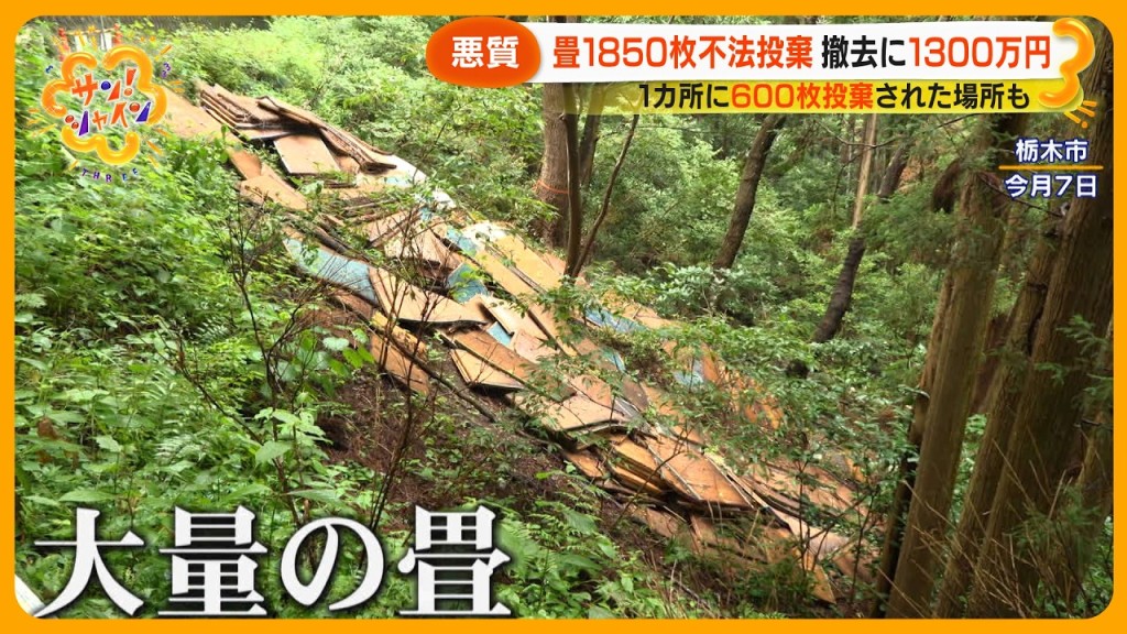 日本傳媒廣泛報道非法棄置大量榻榻米事件。YouTube截圖 日本傳媒廣泛報道非法棄置大量榻榻米事件。YouTube截圖
