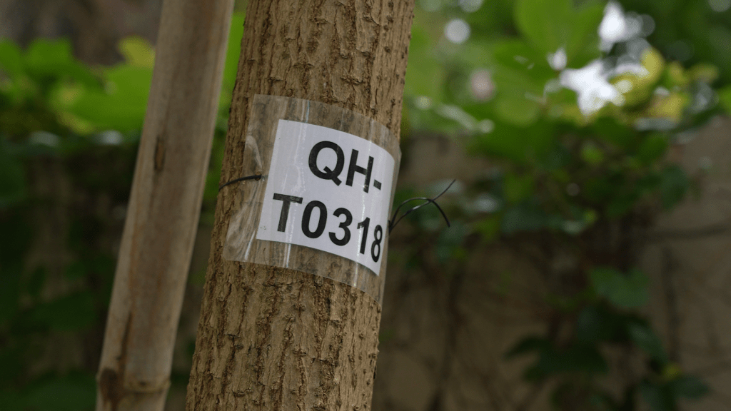 公共屋邨內的樹木掛上樹牌，印有獨立且不重複的樹木編號。