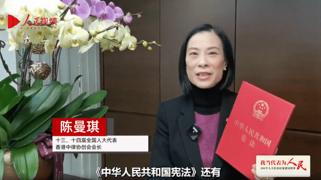 陳曼琪提出,應當完善憲法和基本法教育、國情教育、中國歷史和中華文化教育。