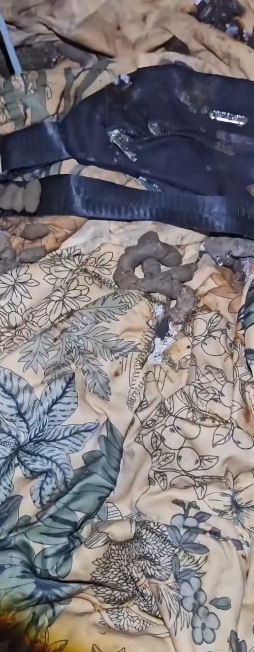 傢俬及地上滿佈屎尿。fb「毛守救援」片段截圖