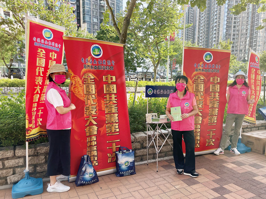 新界東南區委員會