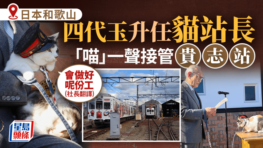和歌山貓站長｜四代玉「喵」一聲接管貴志站  社長翻譯：會做好呢份工！