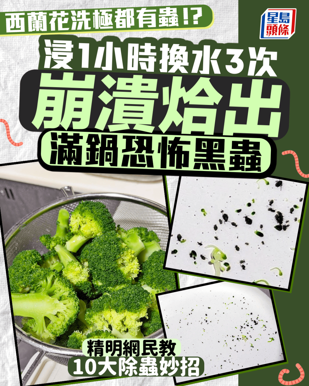 西蘭花洗極都有蟲！？ 浸1小時換水3次 崩潰烚出恐怖黑蟲 精明網民教10大除蟲妙招｜Juicy叮