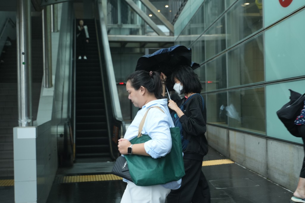 桃芝的雨势不大。