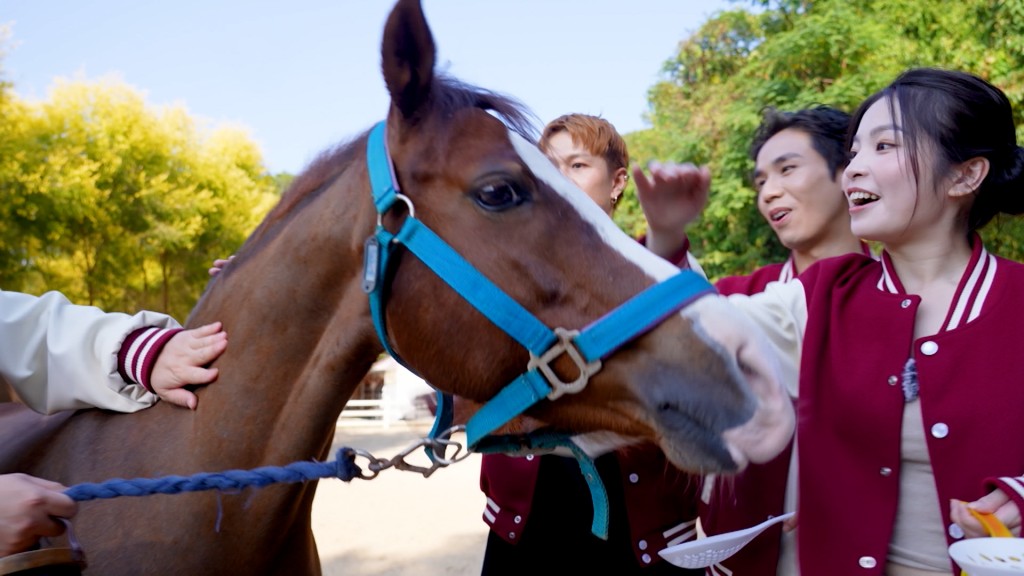 最終所有主持均曾勝出遊戲一次，得以近距離接觸白馬並體驗餵馬樂趣。
