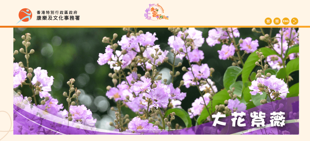 康文署推出賞花情報網站．定時更新8種受歡迎植物包括櫻花等開花資訊。
