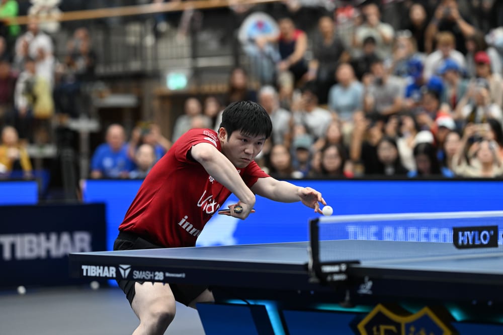 樊振东期待今晚的德国杯准决赛和决赛。乒乓德国杯官方图片