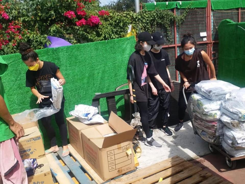 收容所呼籲義工協助照顧動物。Kelly Animals Shelter專頁圖片