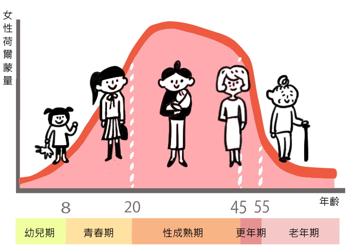 女性的荷爾蒙分泌與年齡有關。 女性的荷爾蒙分泌與年齡有關。