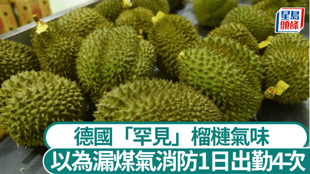 榴槤的強烈氣味被以為是煤氣味。新華社
