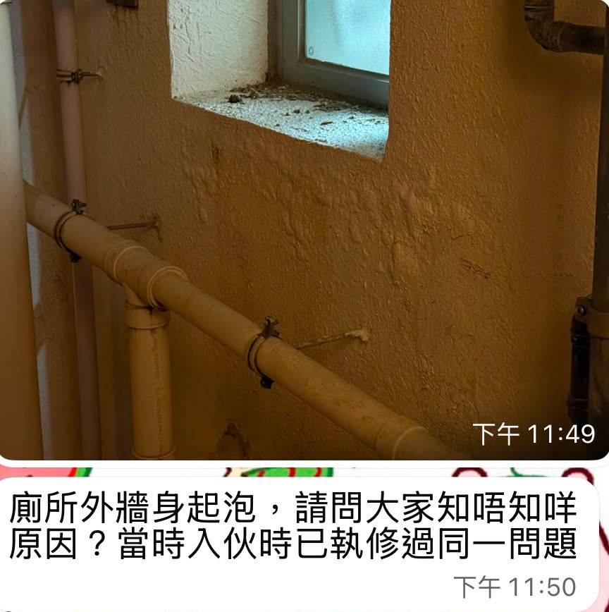 有業主指單位廁所外牆牆身「起泡」。業主吳小姐提供 有業主指單位廁所外牆牆身「起泡」。業主吳小姐提供