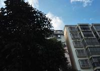 爆炸的樓宇。