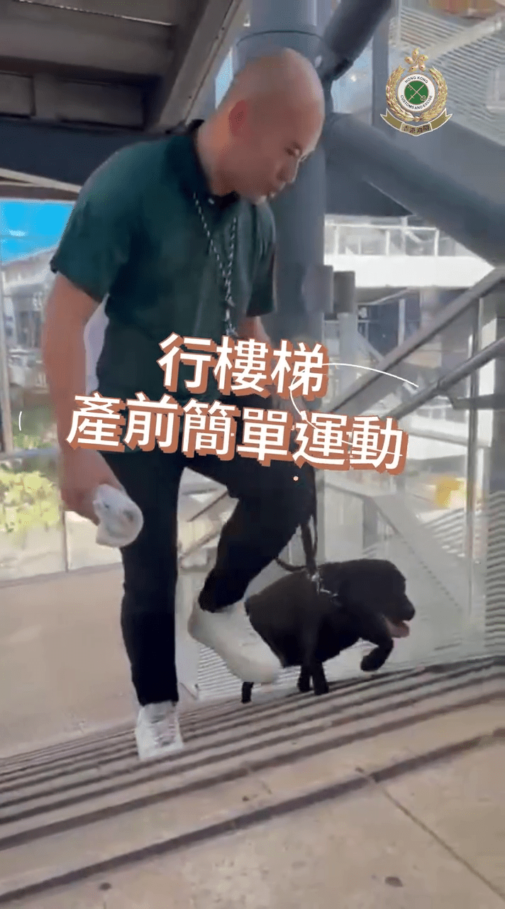 關員由起居飲食、產前檢查到產前運動，「樣樣做到足」。