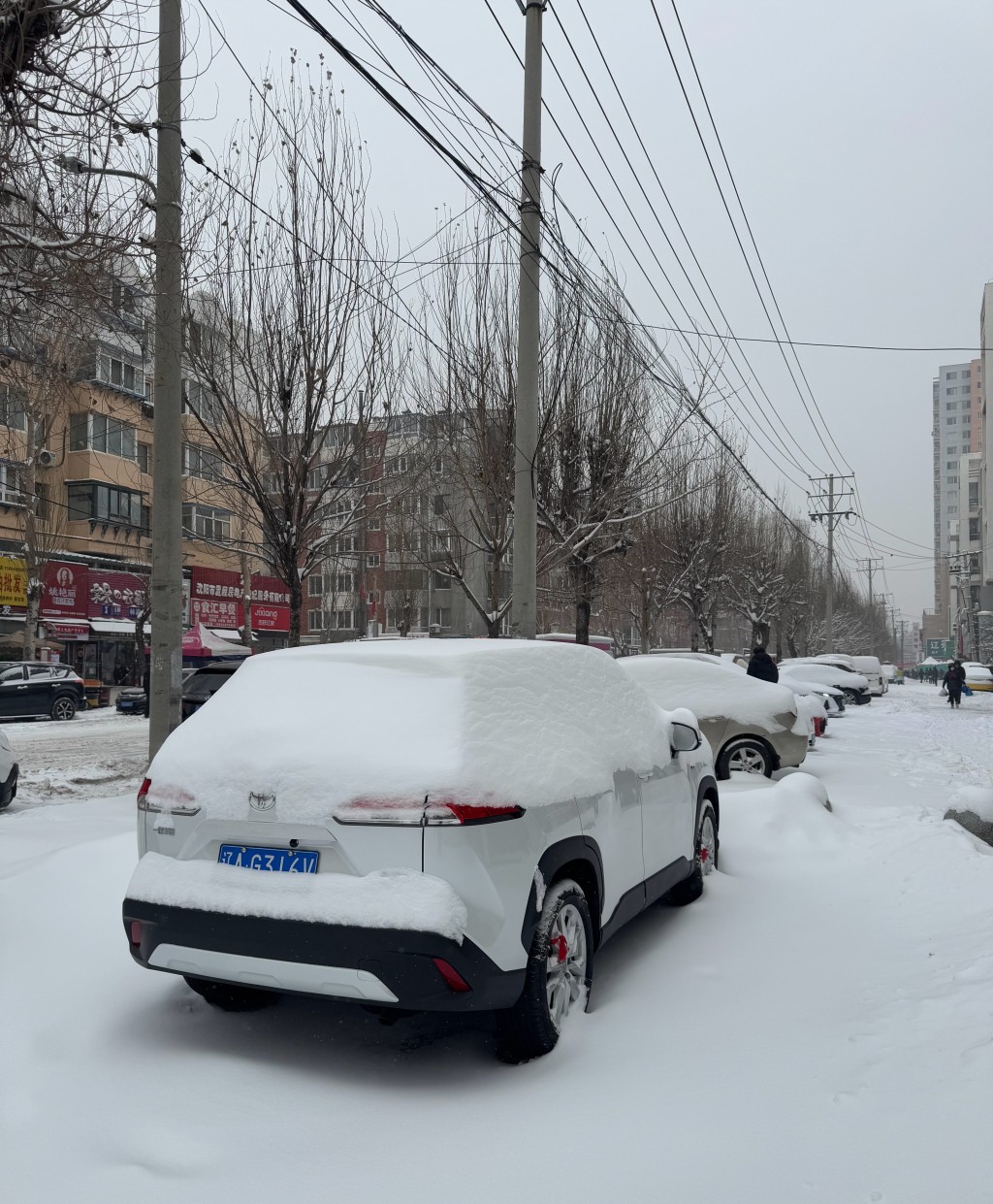 網民分享遼寧各地街頭的雪景。微博 網民分享遼寧各地街頭的雪景。微博