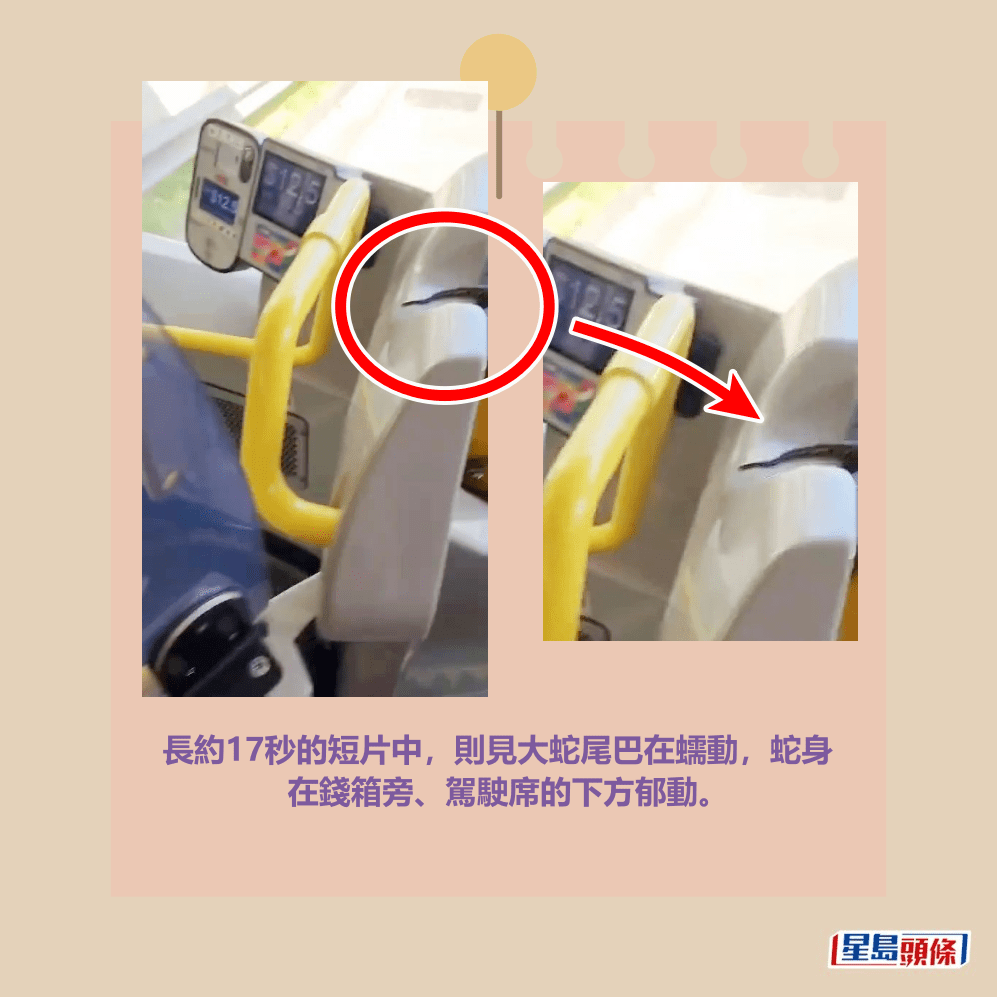 長約17秒的短片中，則見大蛇尾巴在蠕動，蛇身 在錢箱旁、駕駛席的下方郁動。Threads截圖