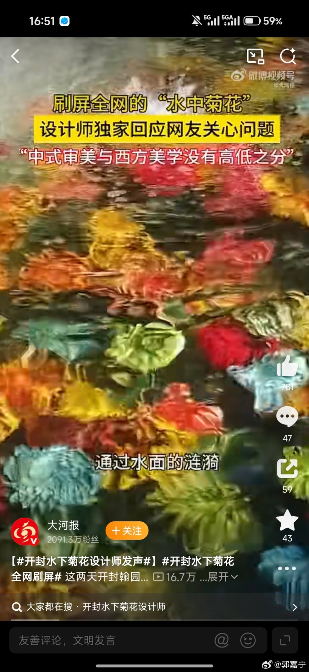 開封水下浮菊打破賞花只可在地上的固有思維,大獲好評。 開封水下浮菊打破賞花只可在地上的固有思維,大獲好評。